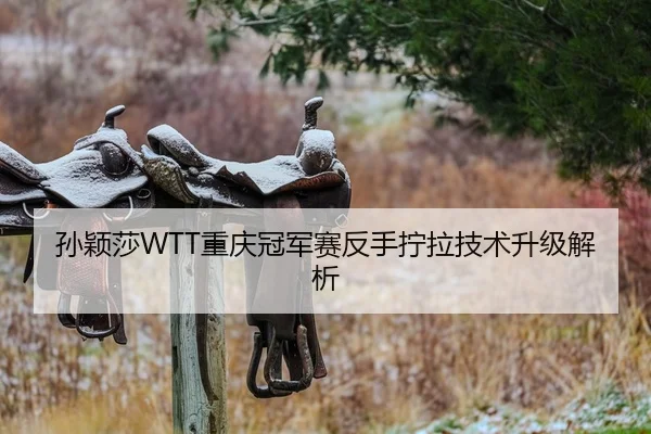 孙颖莎WTT重庆冠军赛反手拧拉技术升级解析