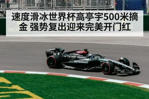 速度滑冰世界杯高亭宇500米摘金 强势复出迎来完美开门红
