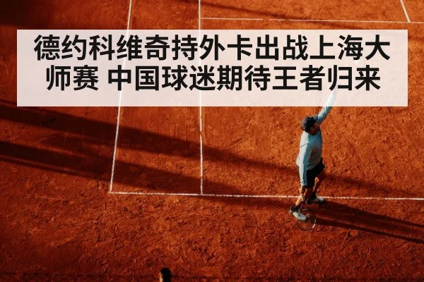 德约科维奇持外卡出战上海大师赛 中国球迷期待王者归来