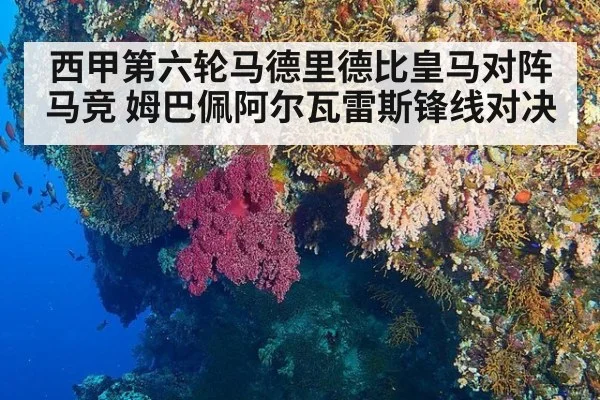 西甲第六轮马德里德比皇马对阵马竞 姆巴佩阿尔瓦雷斯锋线对决